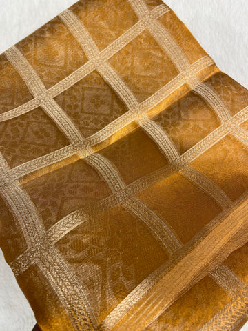 Tissue Organza Silk saree