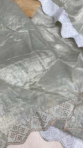 Pure Crush Organza Saree 💚