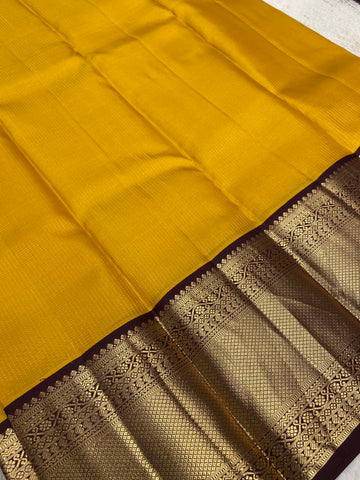 Pure Kanjeevaram silk mark certified saree