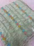 Premium Crush Organza Saree💚