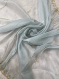 Premium Cocktail Organza Saree