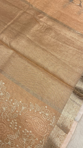 Organza saree with embroidery work