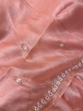 Designer cocktail organza saree