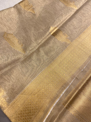 Pure Tissue Organza Saree