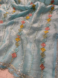 Premium Crush Organza Saree🩵