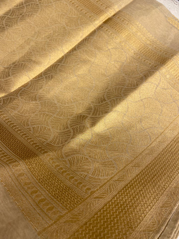 Pure Tissue Organza Saree