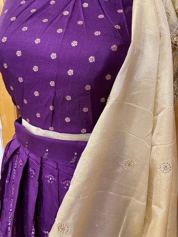 Semi silk lehenga with mirror work and semi stitched blouse