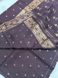 Premium Quality Tussar Saree in Paithani Weaves 🤎