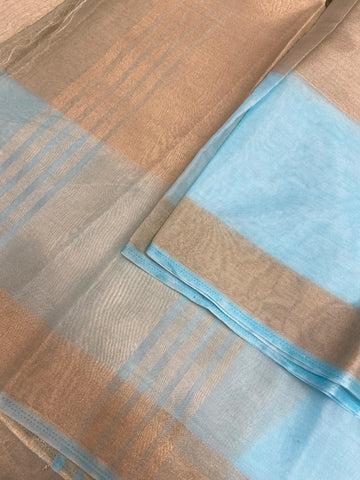Organza Saree✨