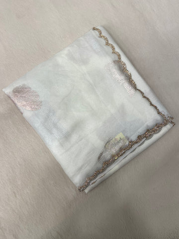 Party Wear Jimmy Chu Saree