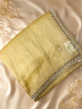 Premium Cocktail Organza Saree