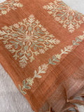 Premium Tissue Organza With Applique Work