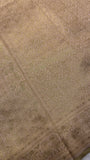 Bridal Semi Tissue Silk Saree