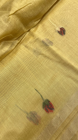 Premium Soft Organza Saree