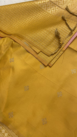 Semi Kanchipuram Silk Saree