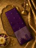 Pure Handloom Kanjeevaram Silk Mark Certified Saree