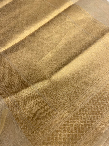 Pure Tissue Organza Saree