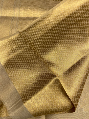 Pure Tissue Organza Saree