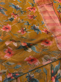Chiffon Brasso Saree