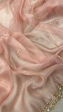 Premium Cocktail Organza Saree