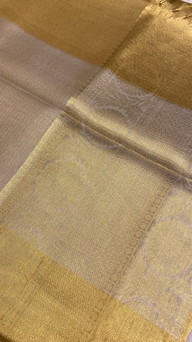 Tissue organza saree