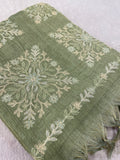Premium Tissue Organza With Applique Work