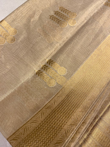 Pure Tissue Organza Saree