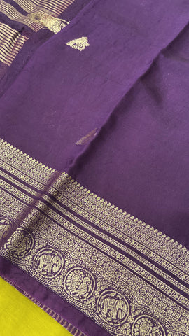 Premium Semi Chanderi Saree-900909
