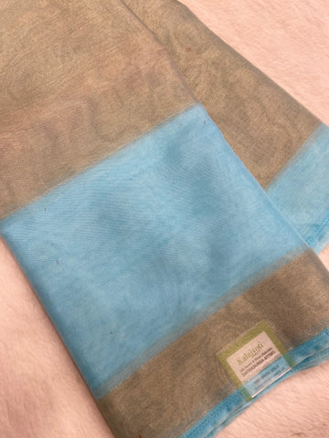 Organza Saree✨