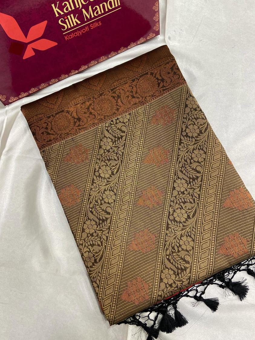 Organza Silk Saree