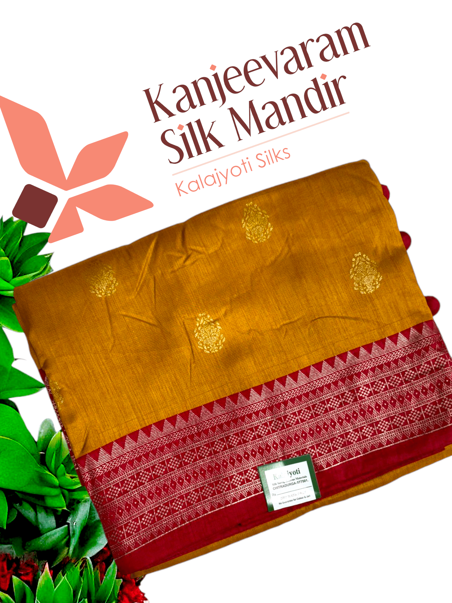 Hast Patola saree - Kanjeevaram Silk Mandir