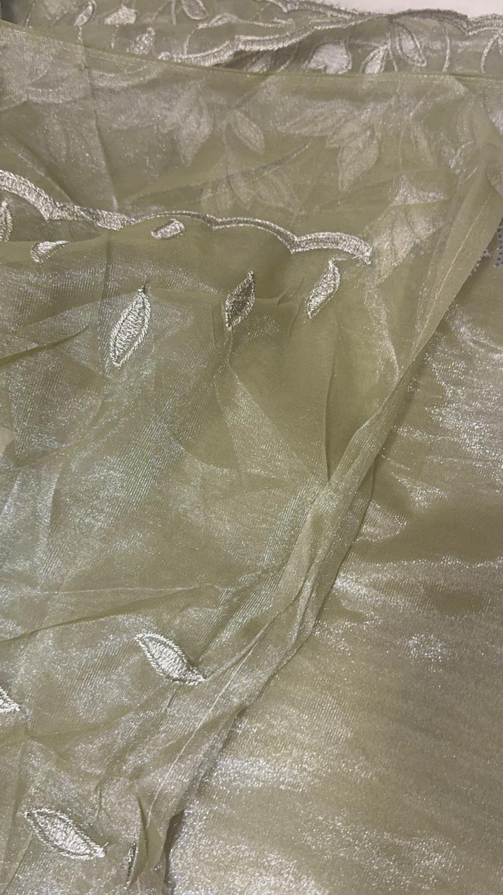 Premium organza saree - Kanjeevaram Silk Mandir