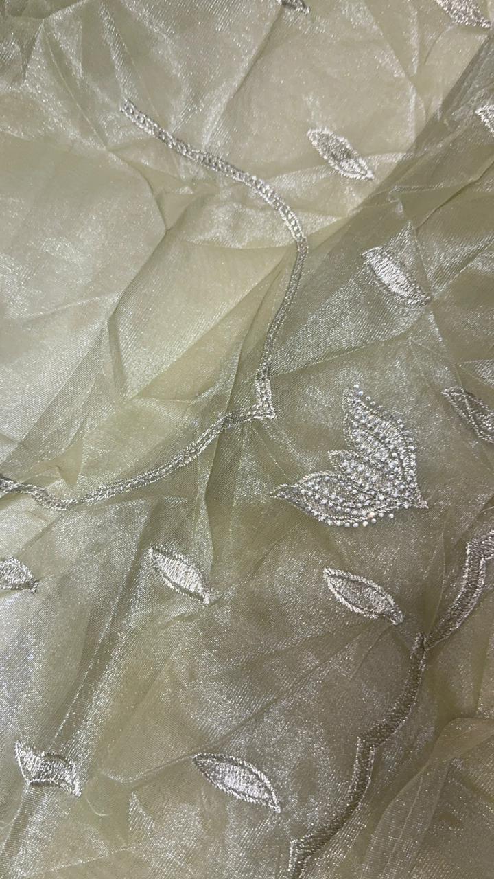 Premium organza saree - Kanjeevaram Silk Mandir