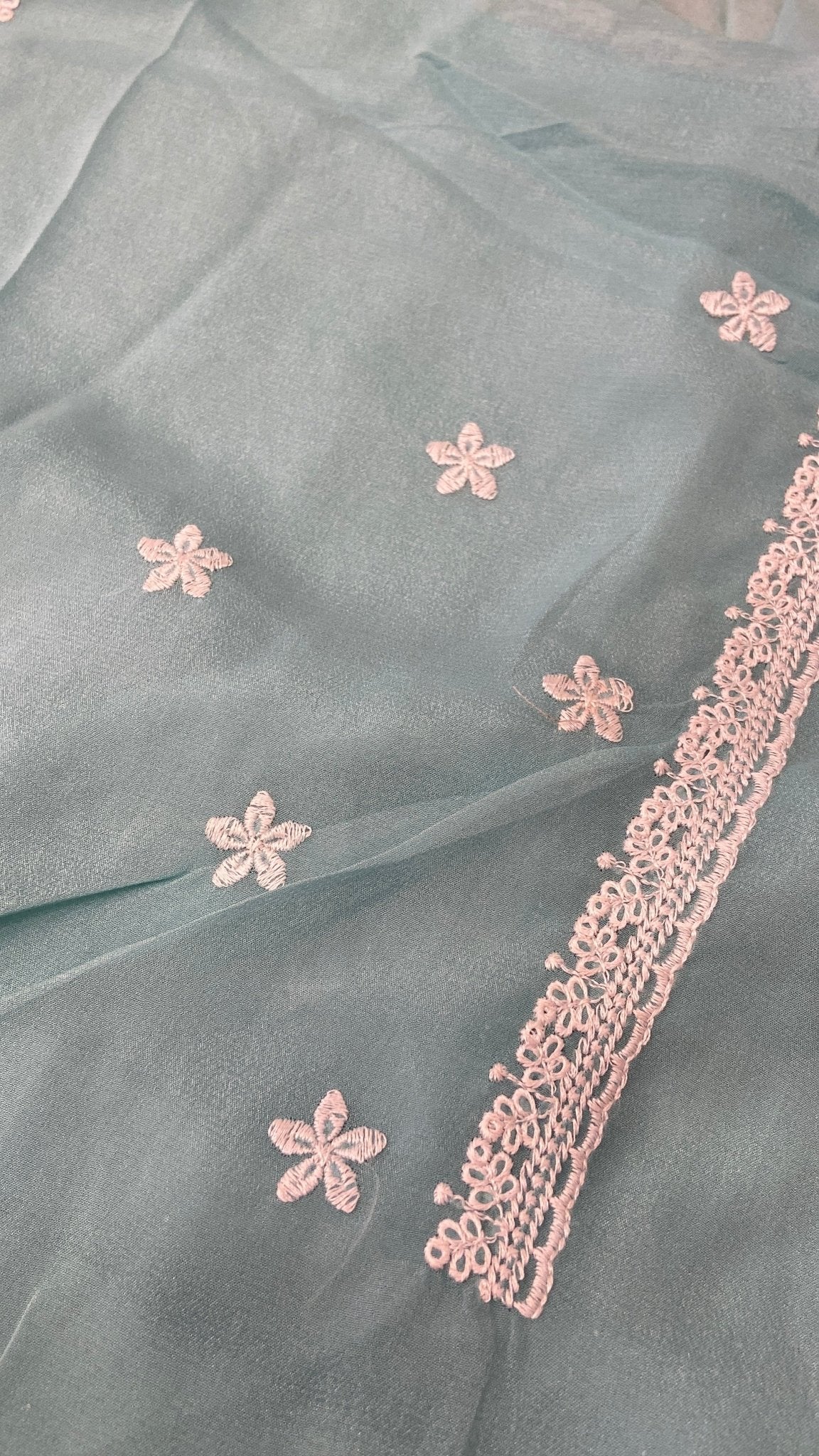 Premium Soft Organza Saree🩵 - Kanjeevaram Silk Mandir