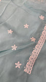 Premium Soft Organza Saree🩵 - Kanjeevaram Silk Mandir