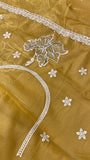 Premium Soft Organza Saree - Kanjeevaram Silk Mandir