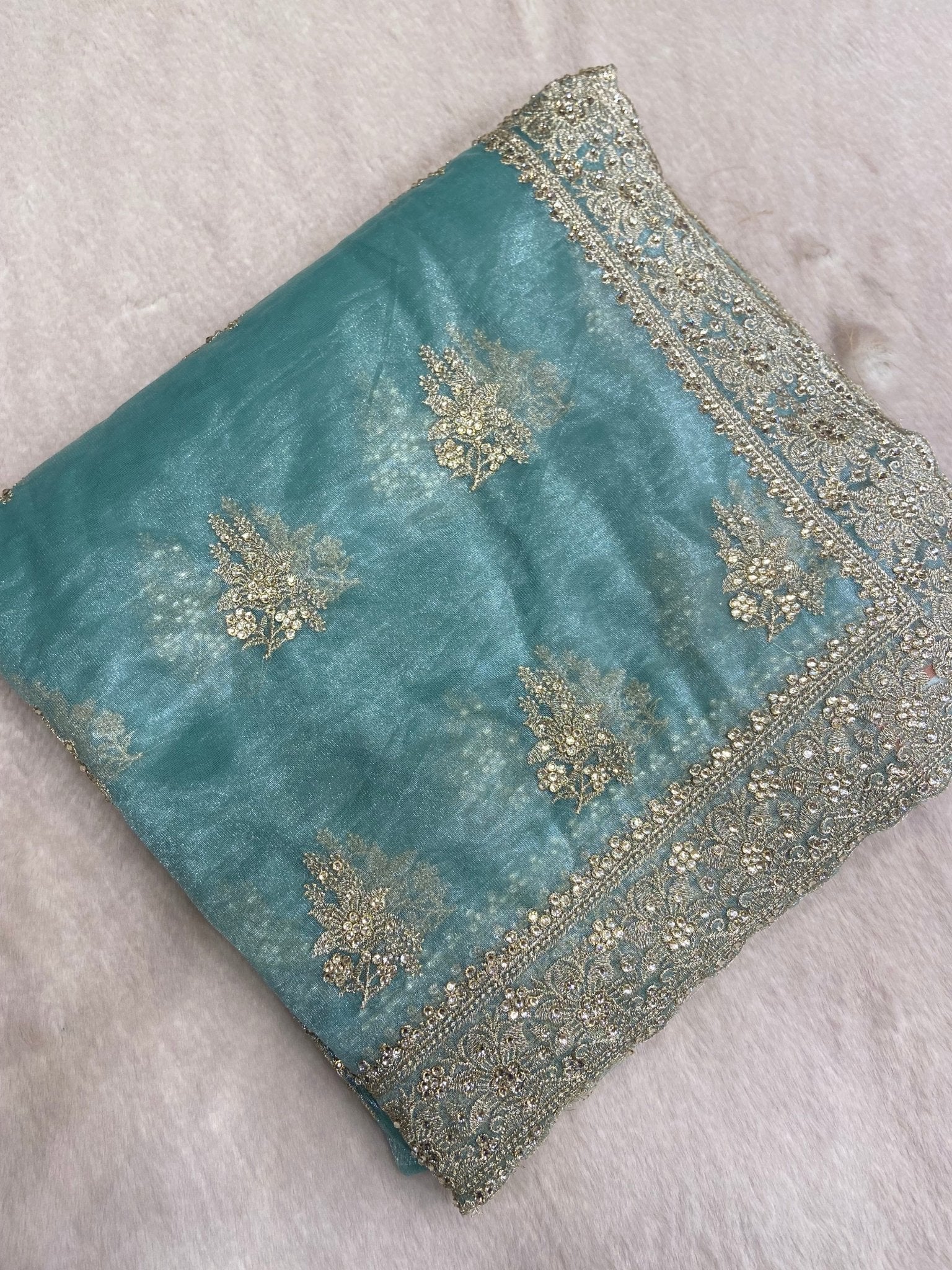 Premium Soft Organza Saree (Pastel Green) - Kanjeevaram Silk Mandir