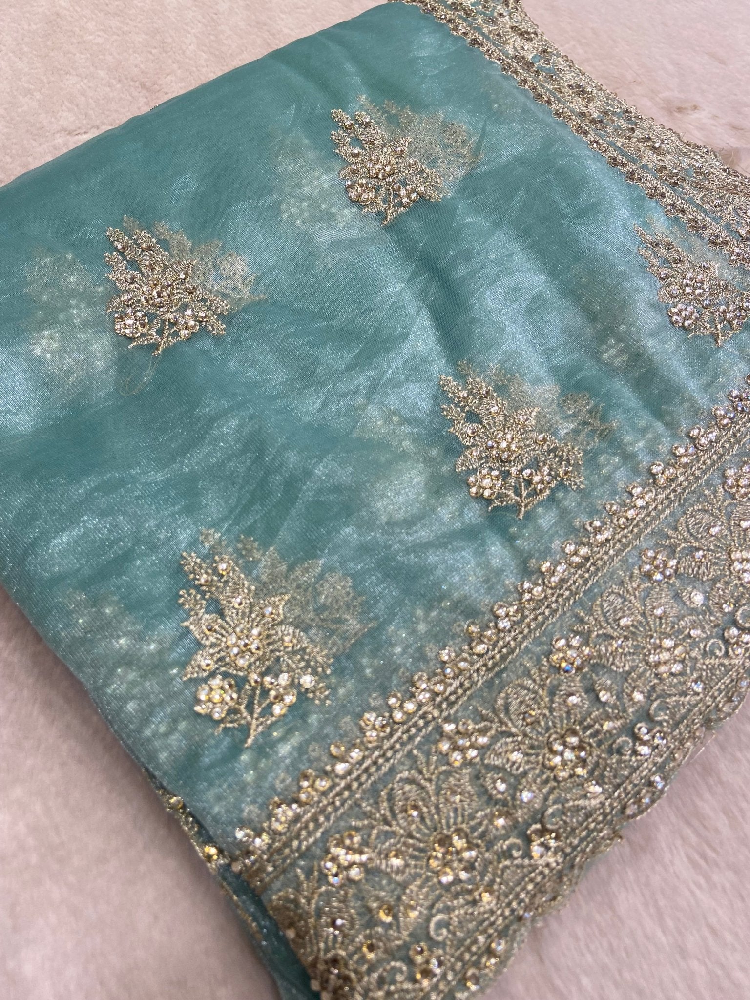 Premium Soft Organza Saree (Pastel Green) - Kanjeevaram Silk Mandir