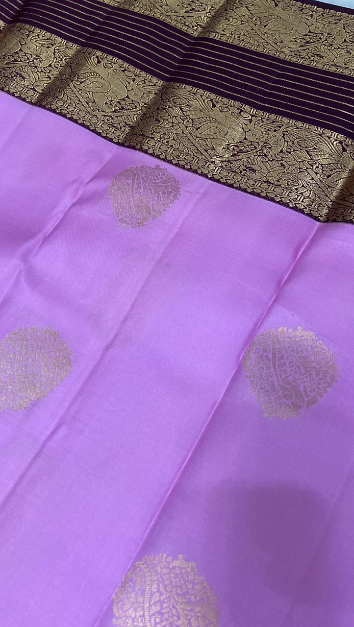 Pure Zari handloom Kanjeevaram silk mark certified saree - Kanjeevaram Silk Mandir