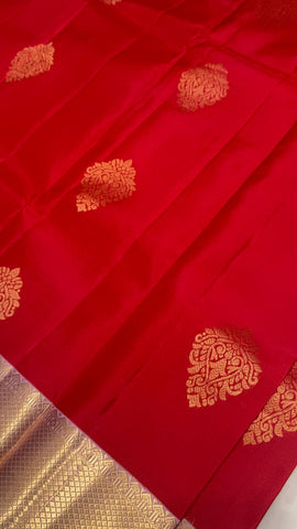 Pure Kanjeevaram silk mark certified saree