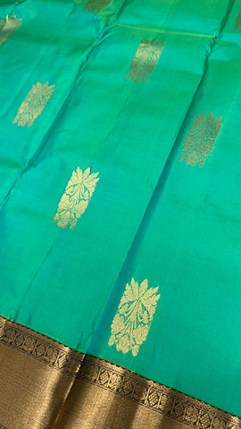 Pure Kanjeevaram silk mark certified saree