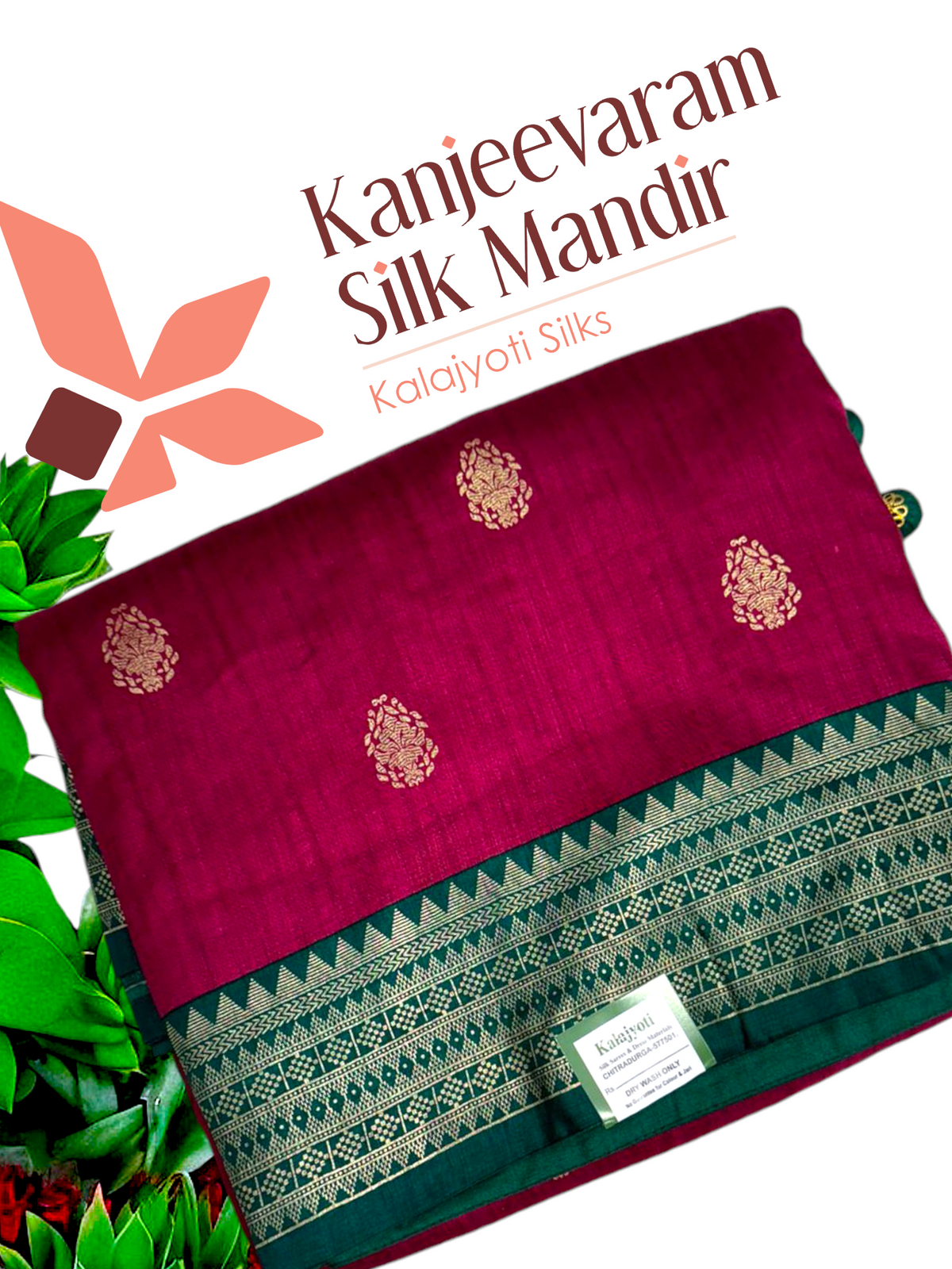 Hast Patola saree