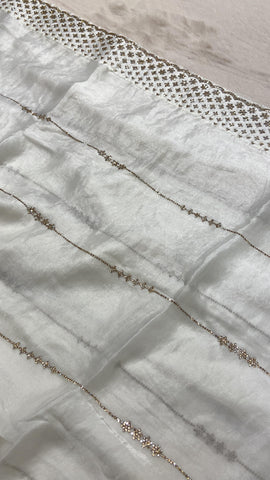 Pure Chinnon Saree