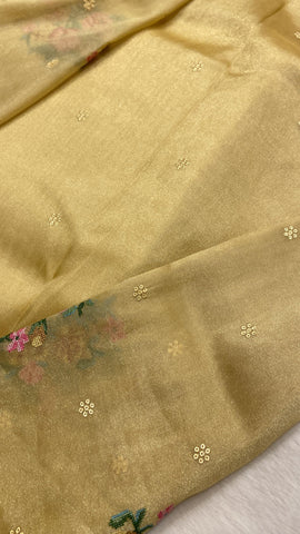 Pure tissue organza saree