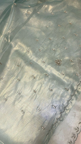 Pure tissue organza saree
