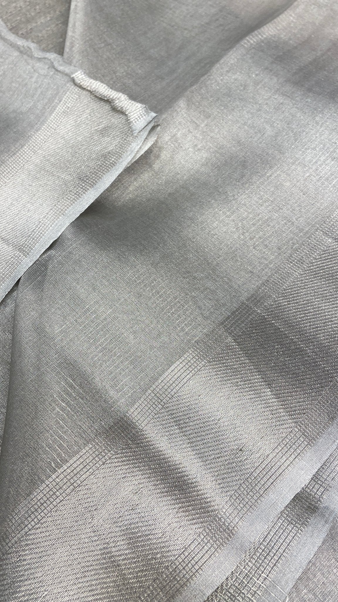 Tissue Organza Saree (Silver) - Kanjeevaram Silk Mandir